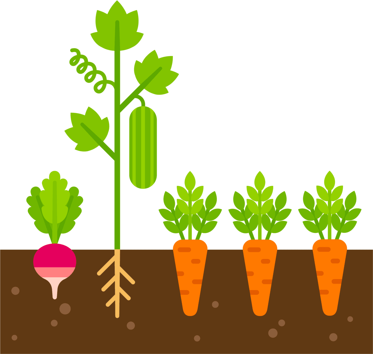 Seeds clipart healthy soil cartoon vegetables in the ground full size image