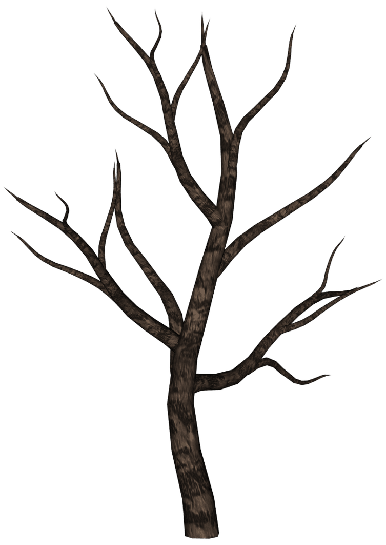 Tree black and white spooky by ecathe deviantart clipart background