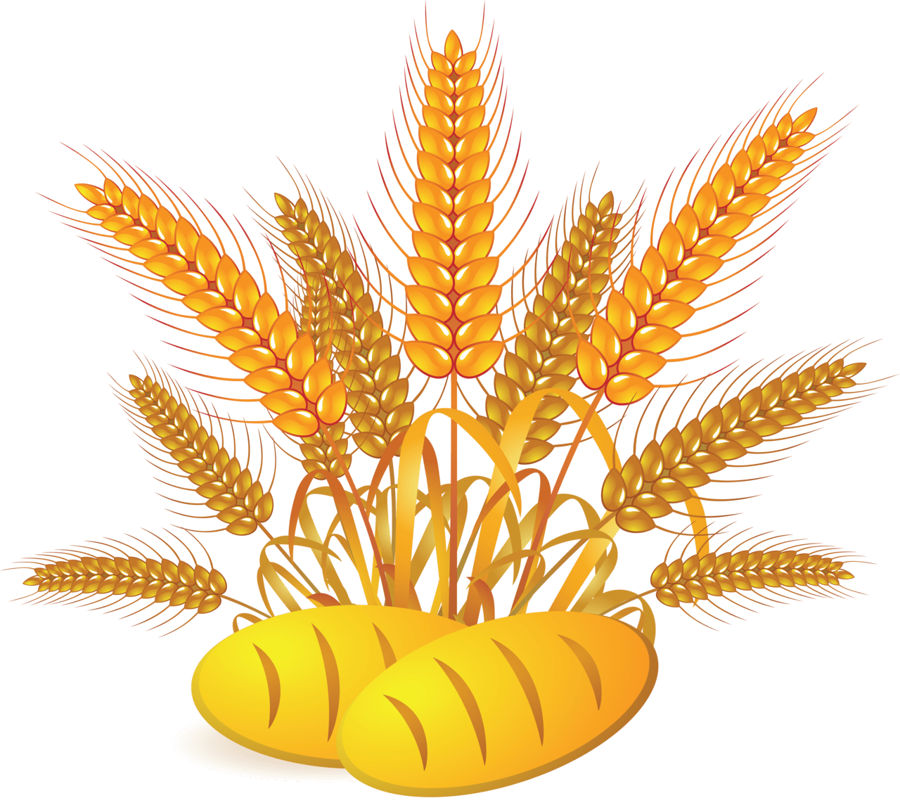 Wheat image size clipart 5
