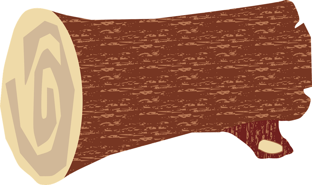 Log nature wood vector graphic clipart