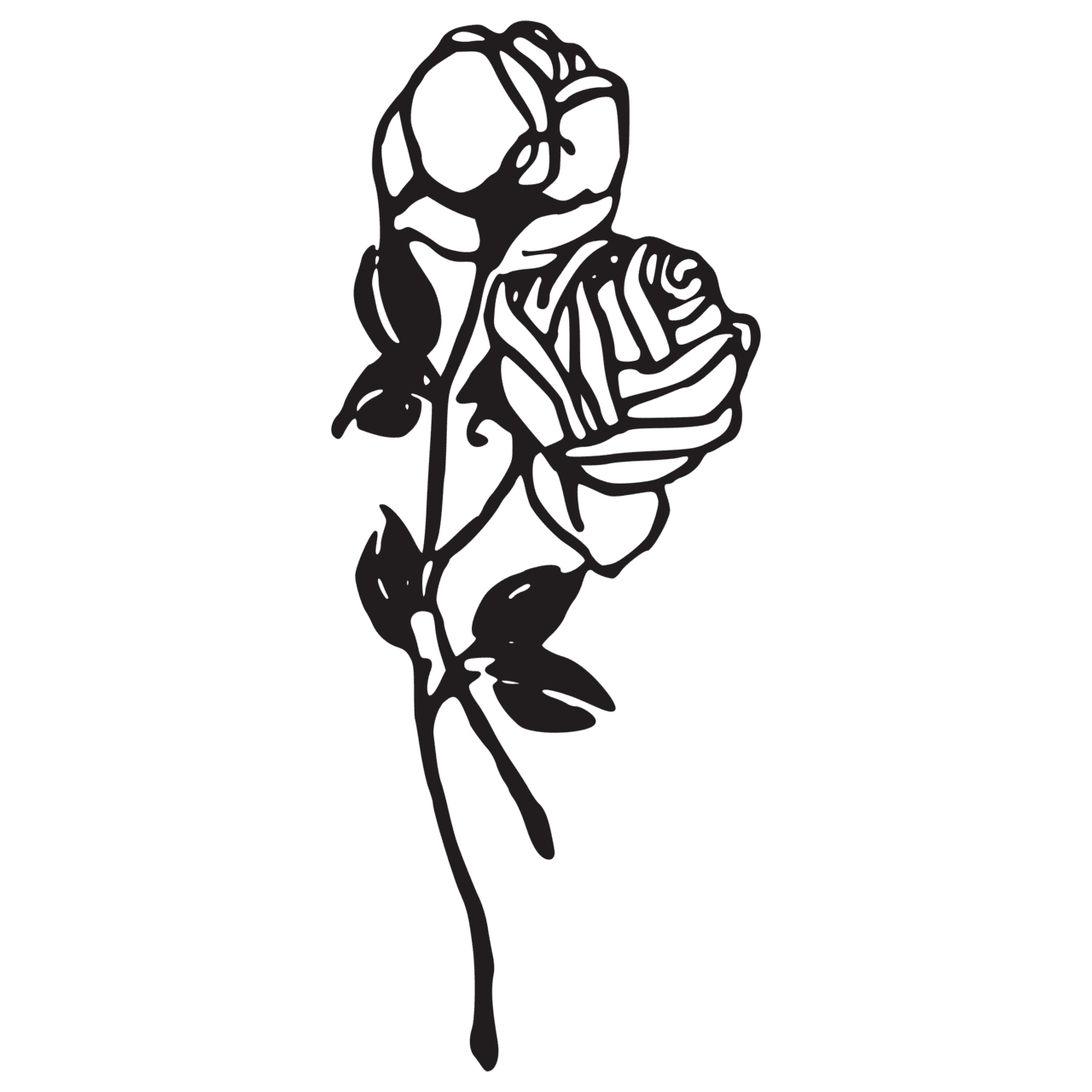 Rose black and white tattoo image clipart