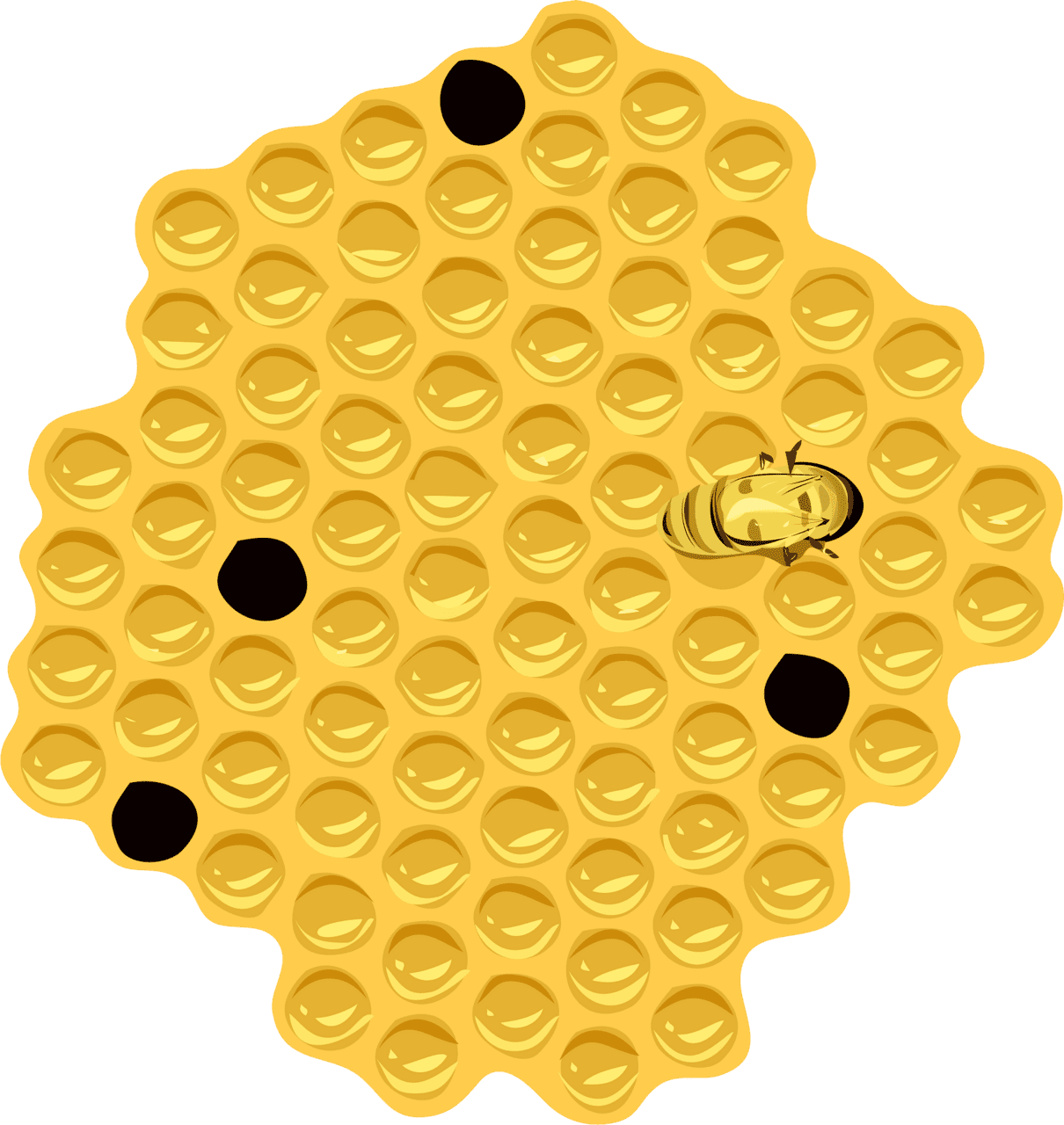 Honeycomb honey vector clipart images 2