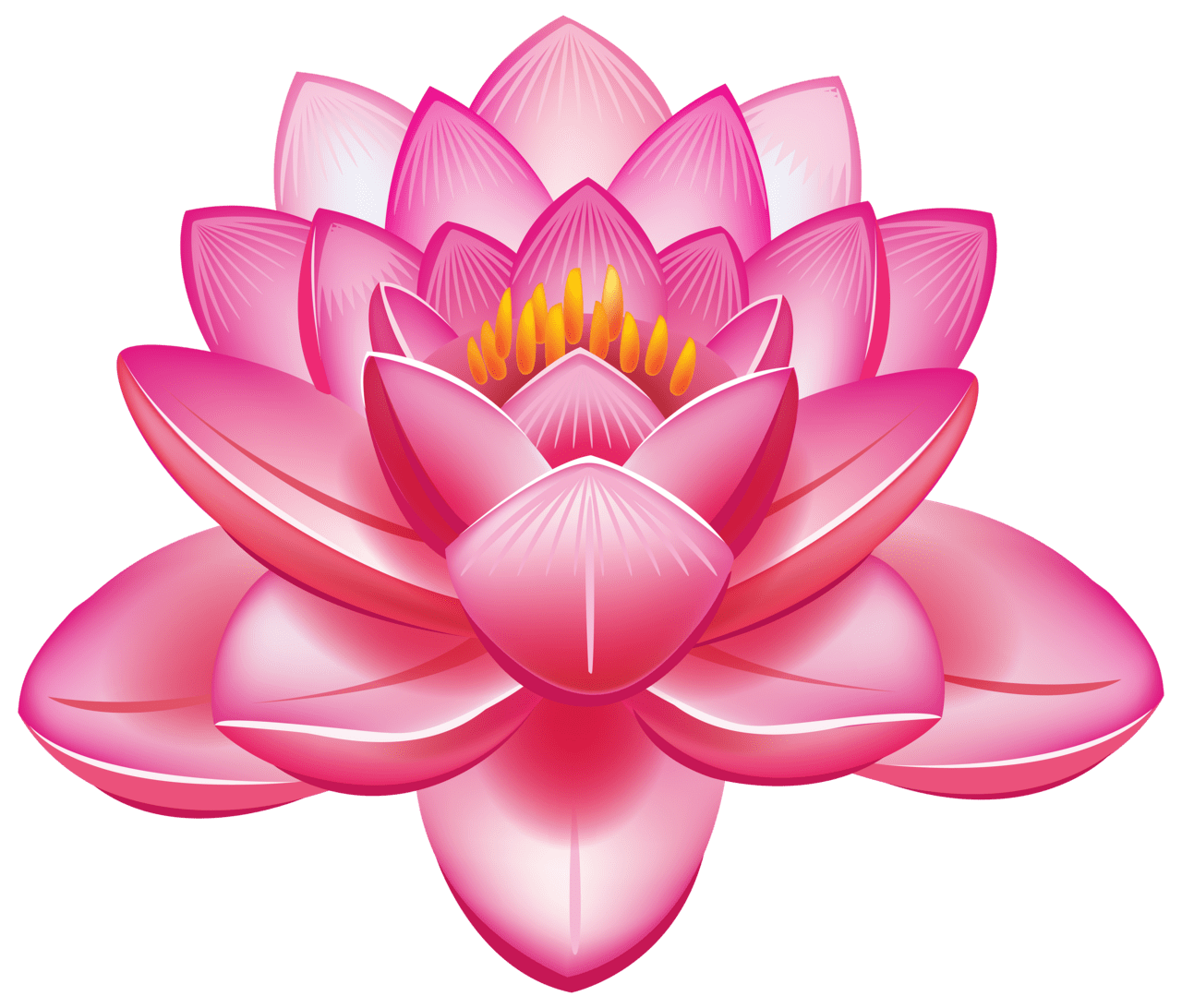 Pink flower lotus clipart best image