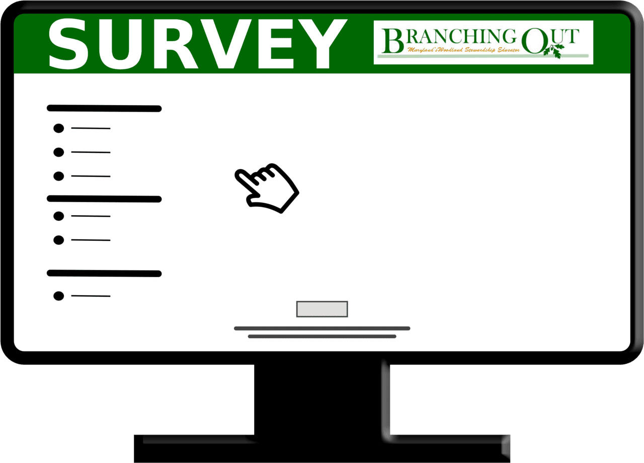 Survey branching out winter university of maryland clipart transparent