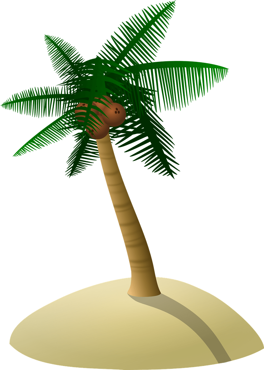 Island coconut tree palm dune vector graphic clipart