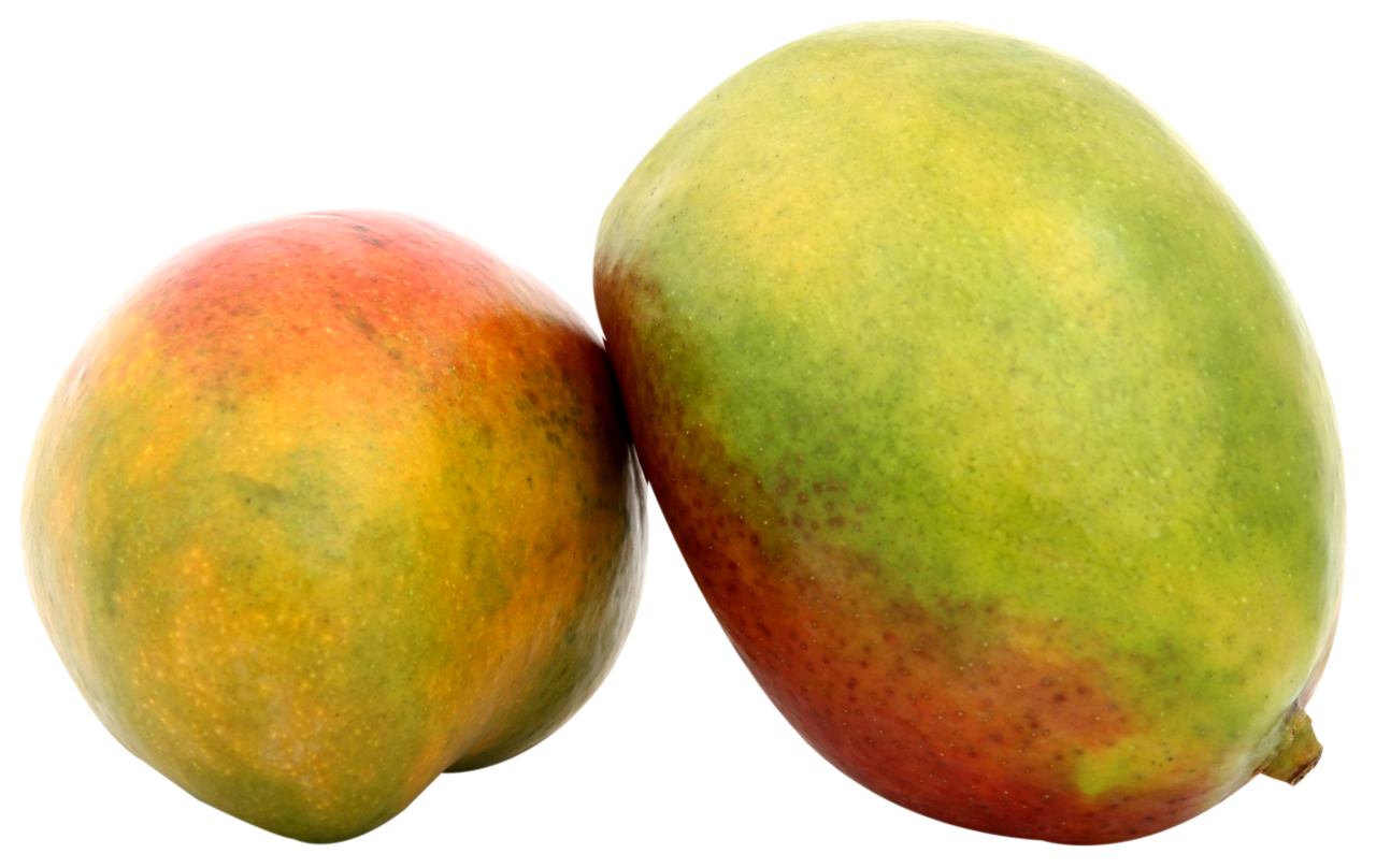 Two mango clipart background