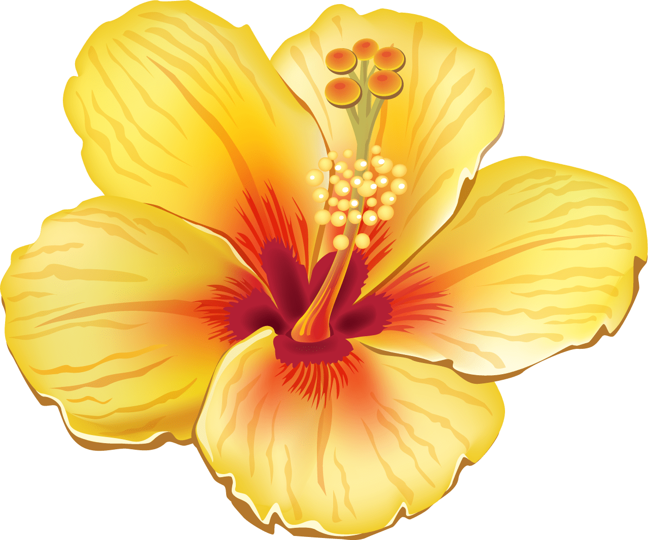 Hibiscus flower pin page clipart picture