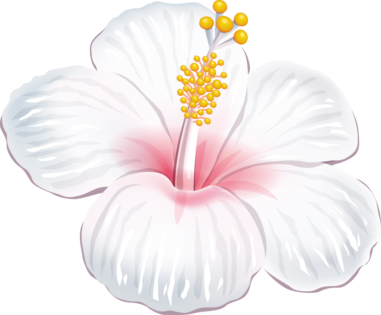 Hibiscus flower clipart free 2