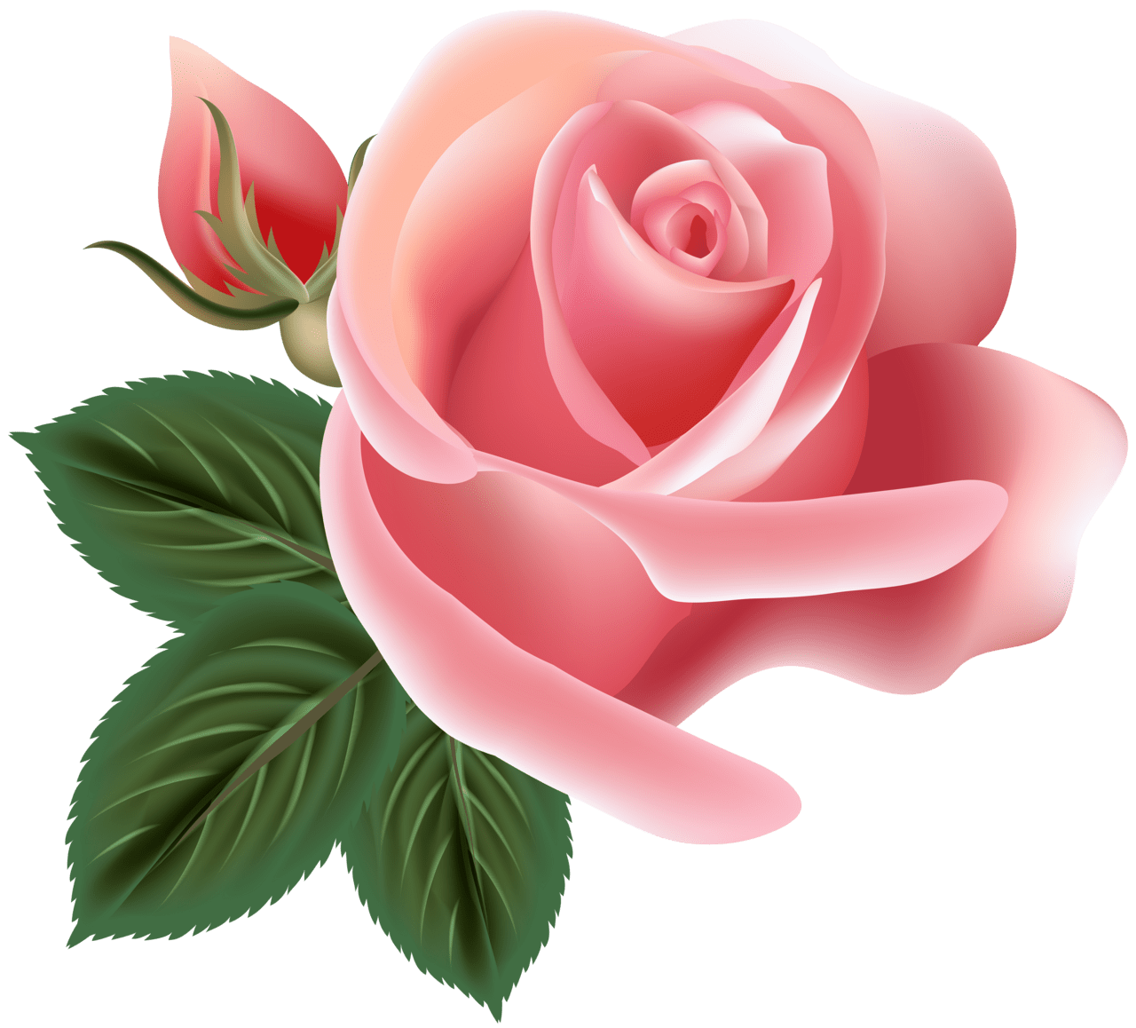 Pink flower rose clipart image 2