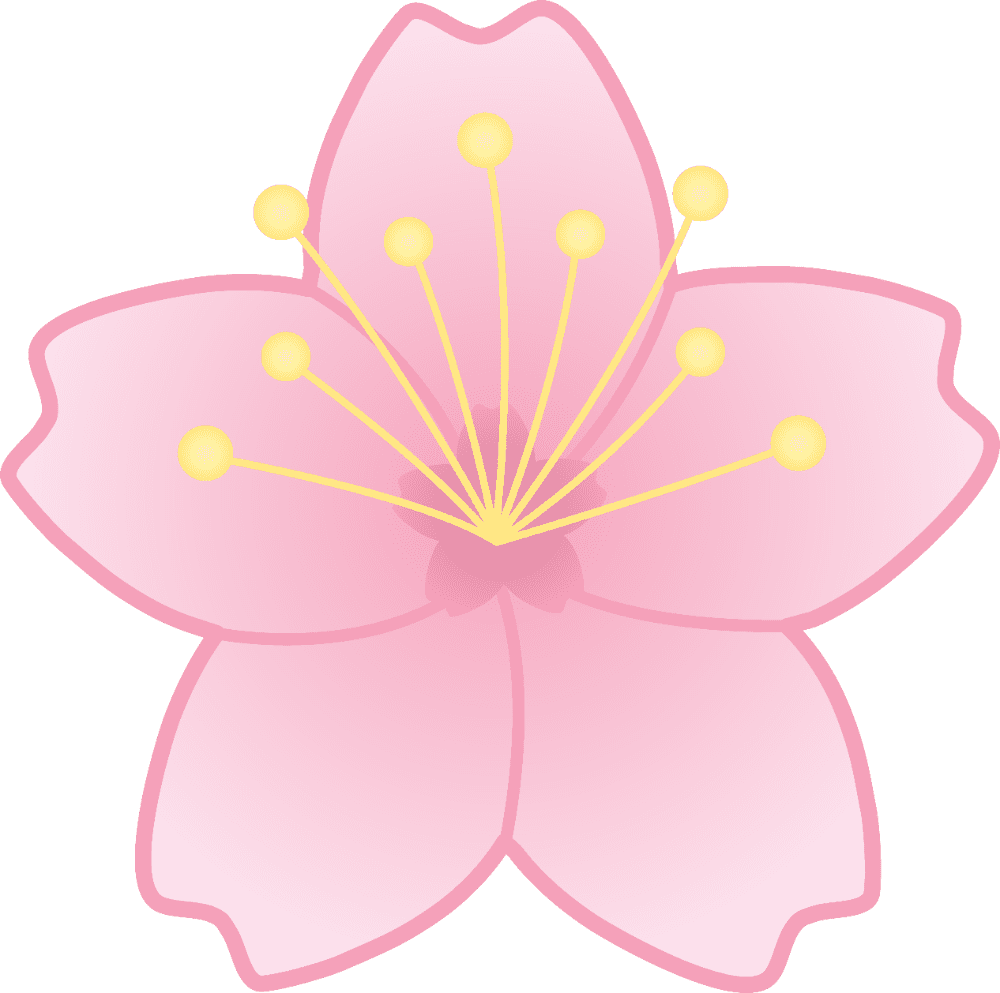 Pink flower cartoon cherry blossom clipart photo