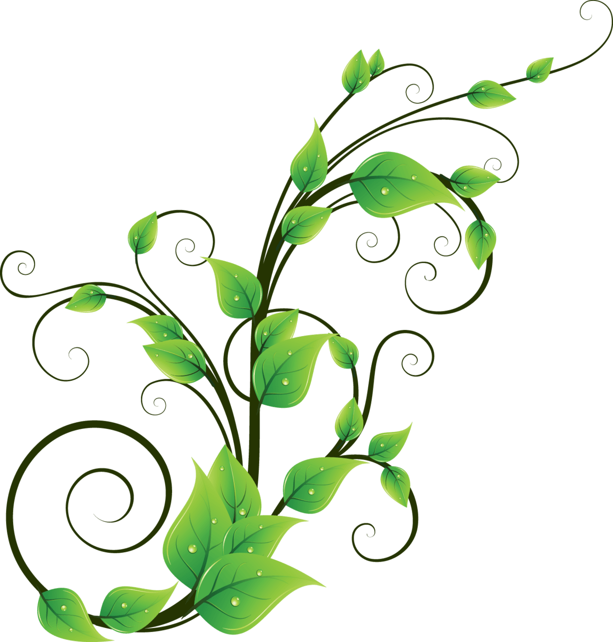 Vines pin page clipart clip art 2