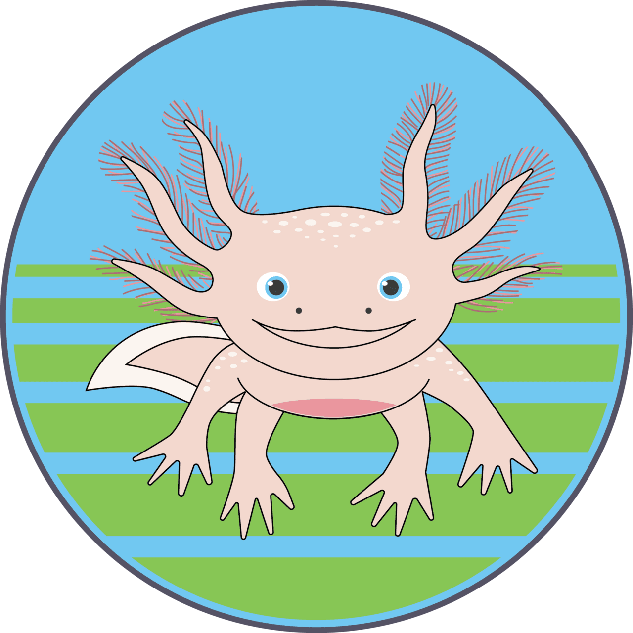 Axolotl home ruben trejo dual language academy clipart image