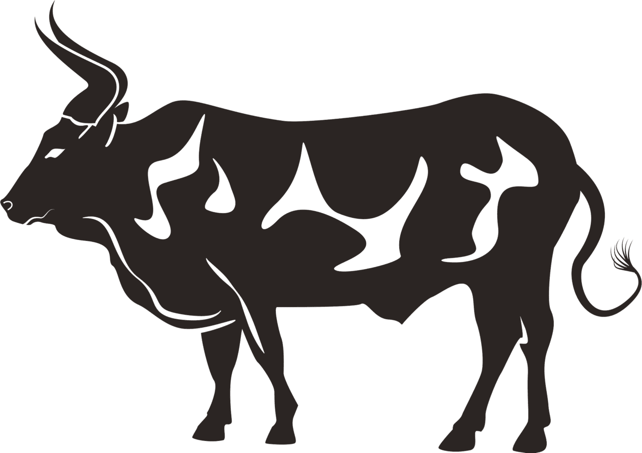 Bull vector clipart images 5