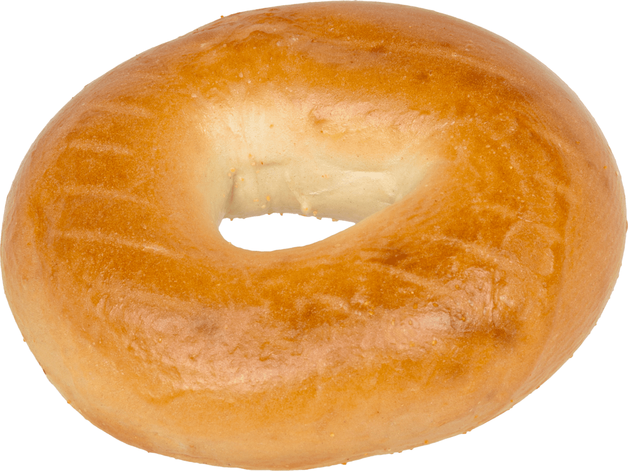 Bagel image size clipart