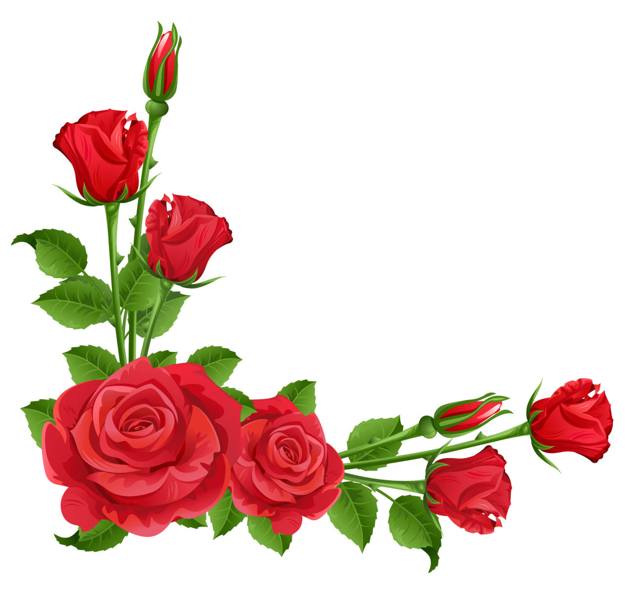 Floral border red roses clipart vector