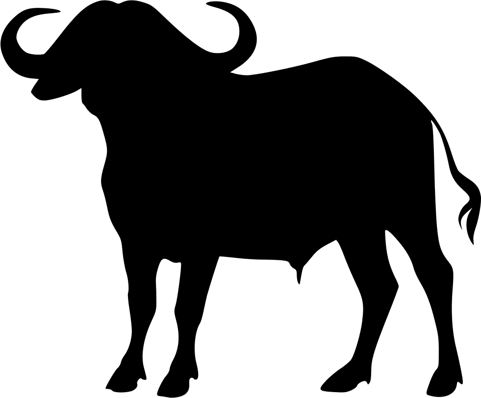 Buffalo clipart image