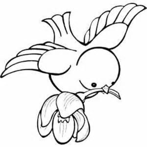 Bird black and white coloring pages clipart vector