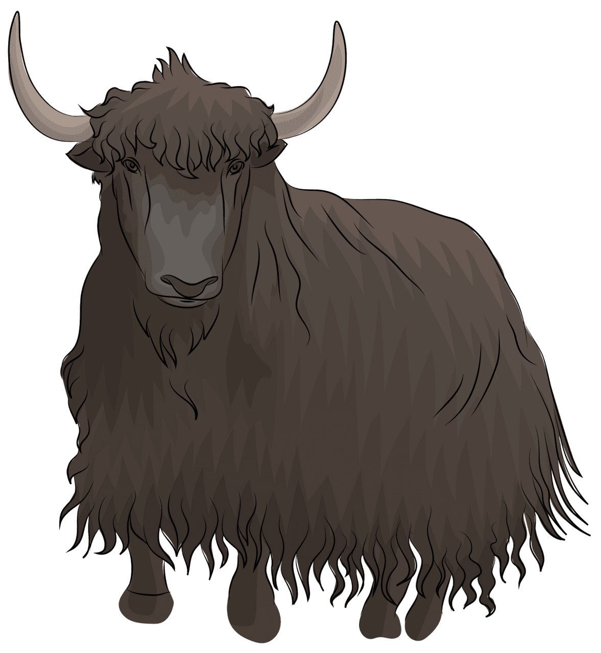 Strong bull consumption clipart yak clip art