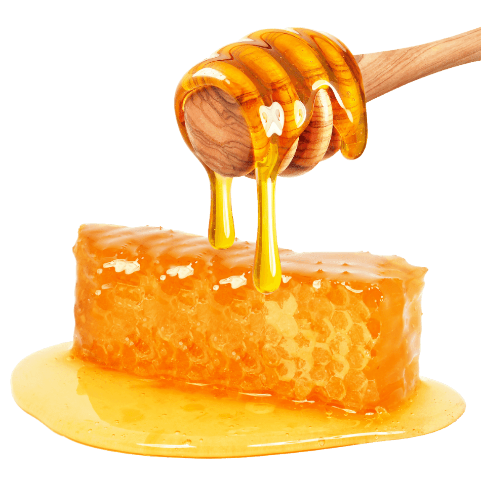 Honey pin page clipart image