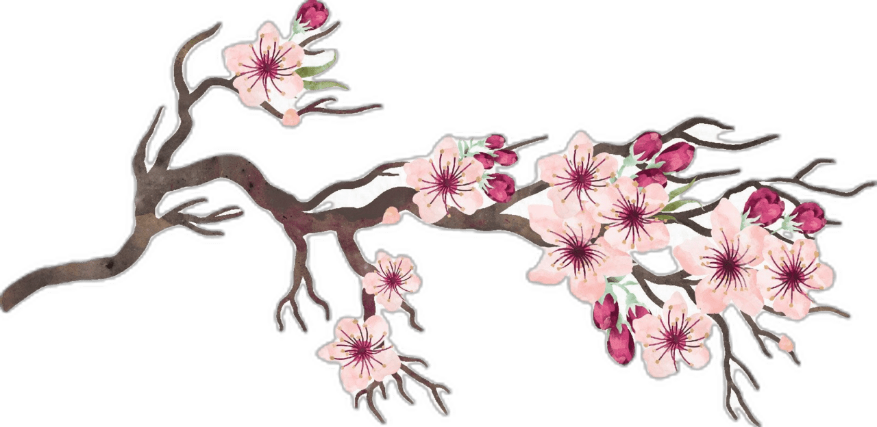 Cherry flower watercolor blossom clipart spring pink flowers tree branch sakura sublimation photo