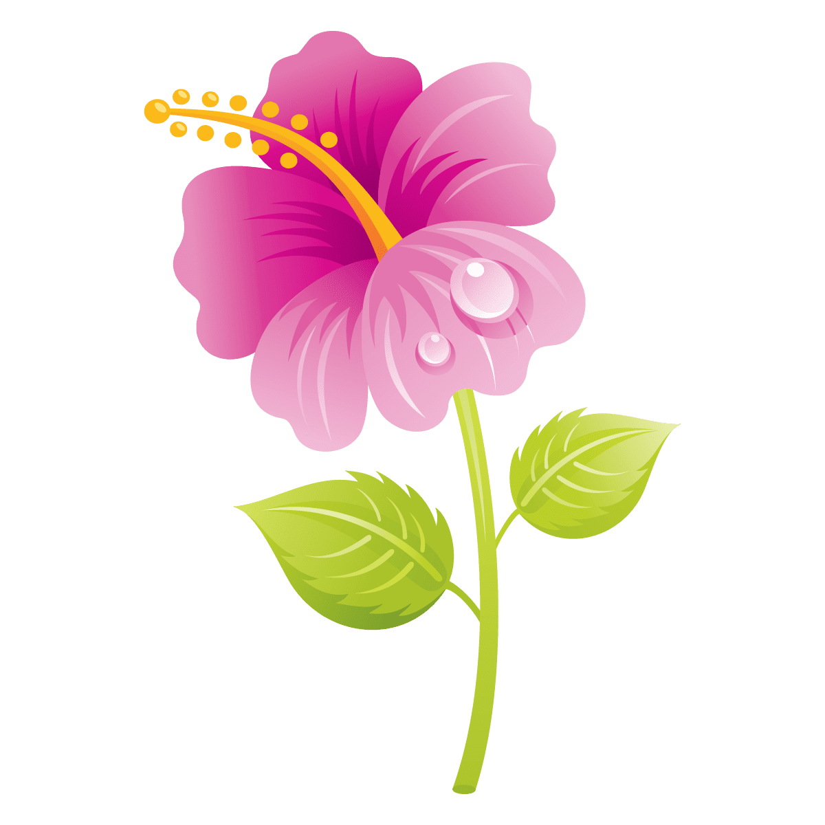 Hibiscus colorful flower my blog page clipart logo