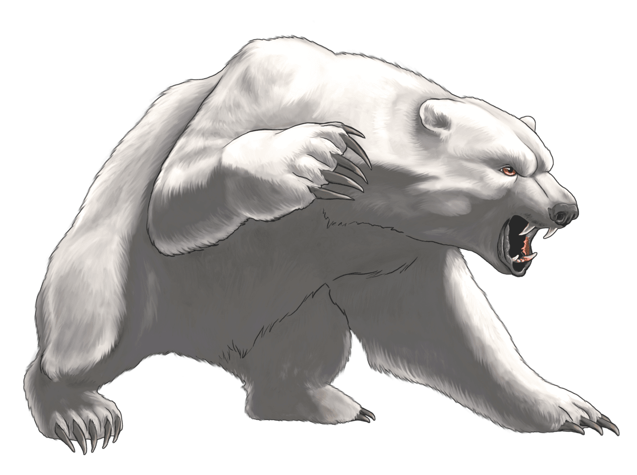 Angry white bear clipart best picture