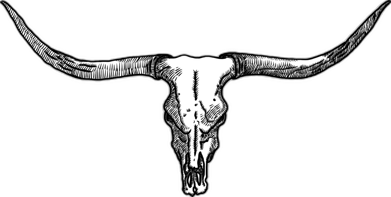 Buffalo longhorn clip bing clipart transparent