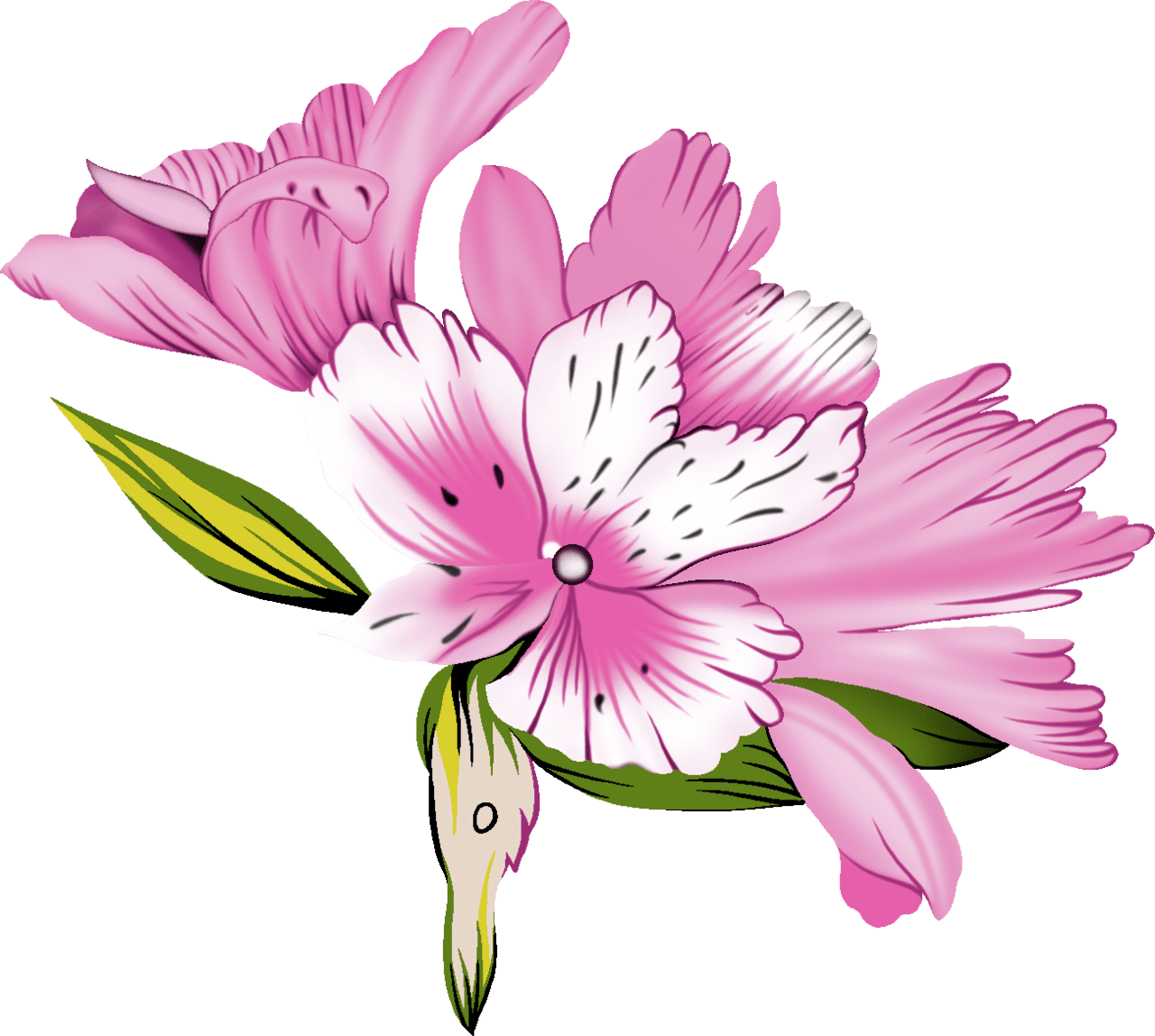 Cherry flower pin page clipart image