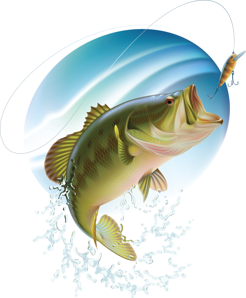 Bass fishing clipart image with no background