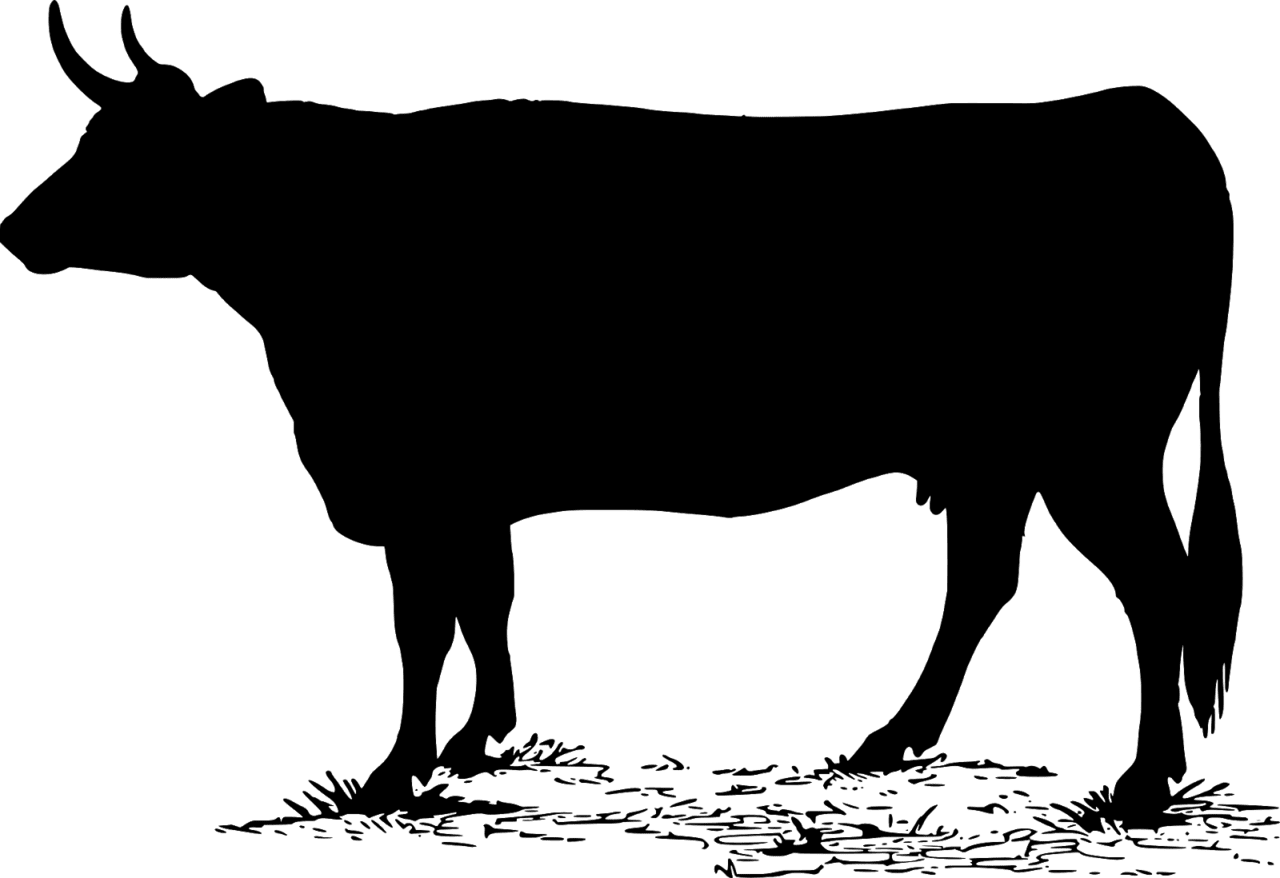 Cattle of cow silhouette animals clipart logo