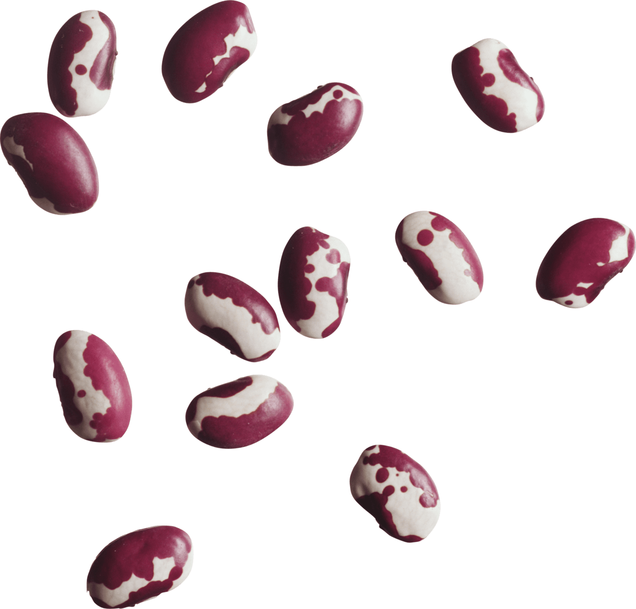 Kidney beans image size clipart 2