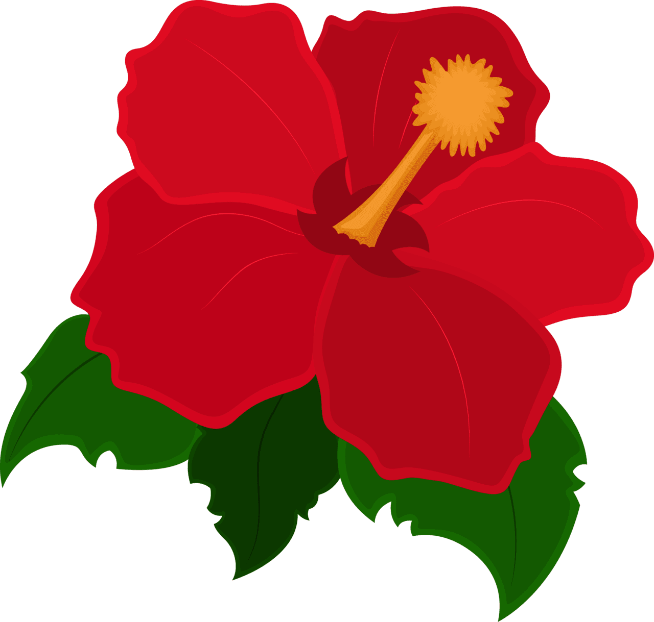 Simple hibiscus flower clipart image