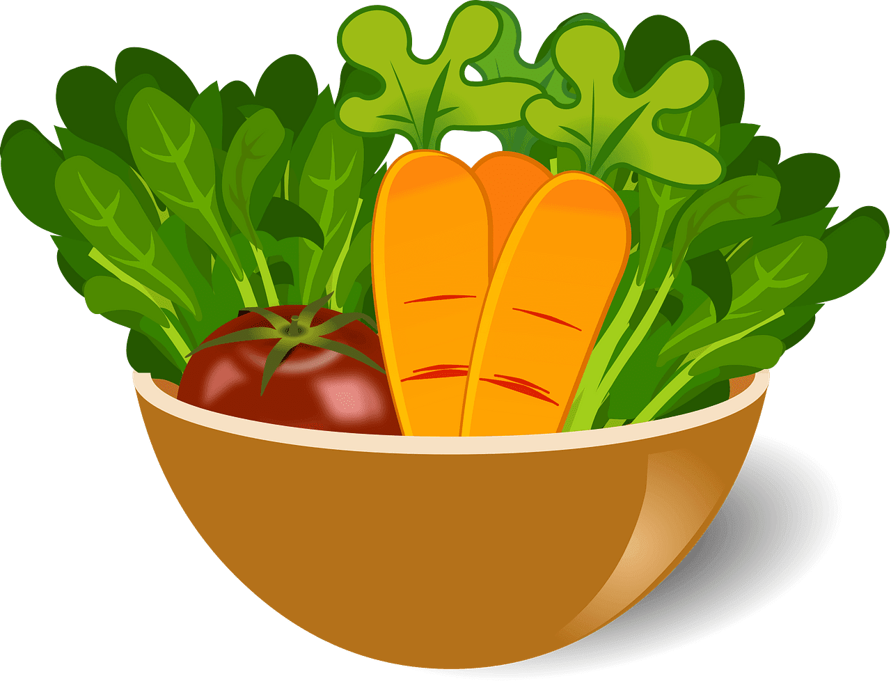 Healthy food bowl with raw vegetables vector clipart images