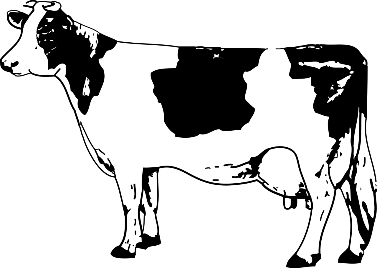 Cow black and white image size clipart