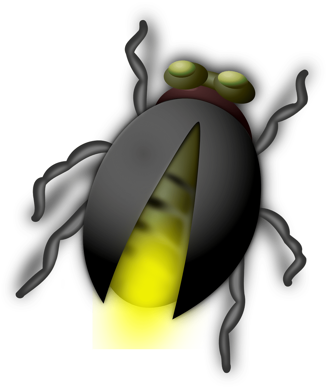 Firefly luciole vector art graphics clipart
