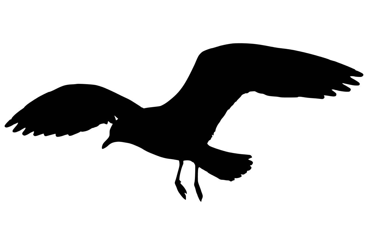 Bird black and white pin page clipart image