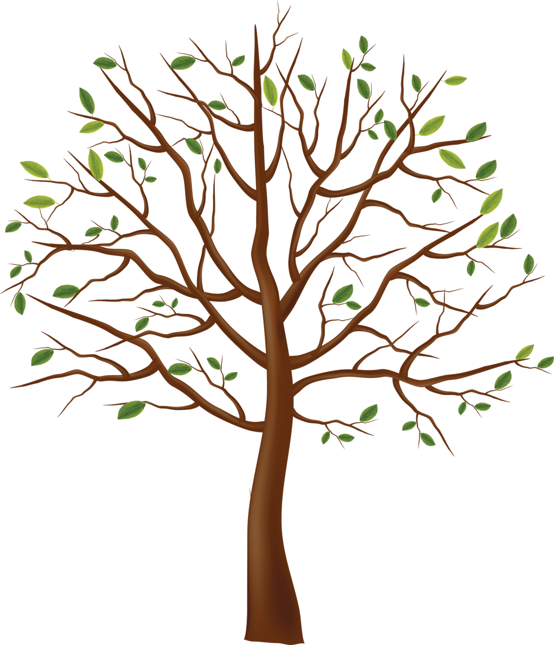 Fall tree image size clipart 2