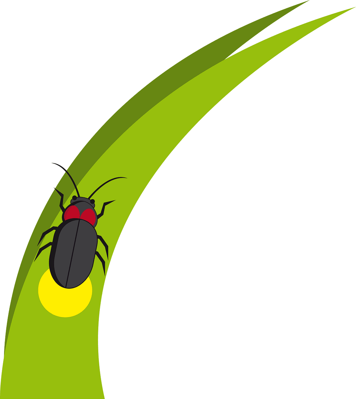 Firefly vector clipart images 9