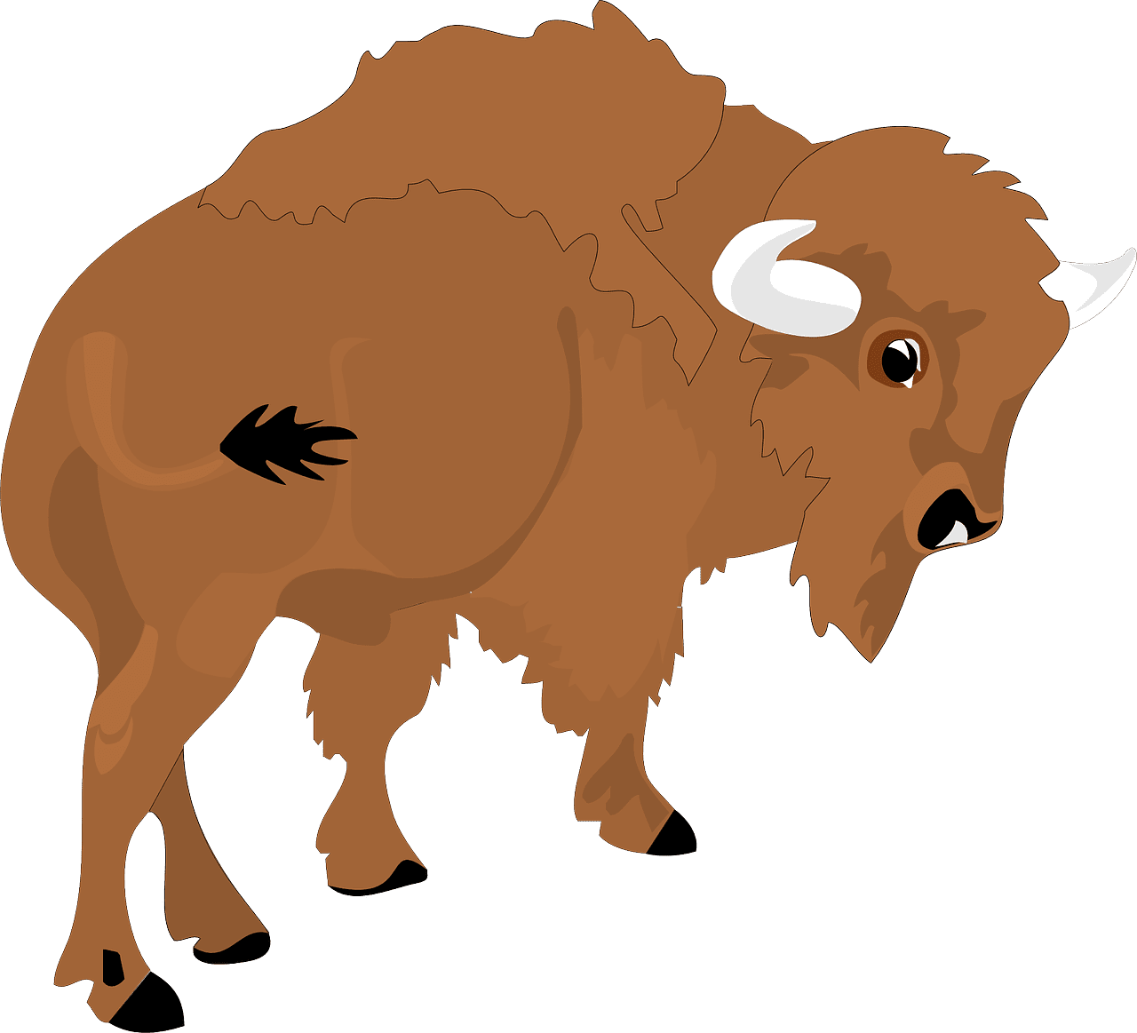 Buffalo bison view large vector graphic clipart