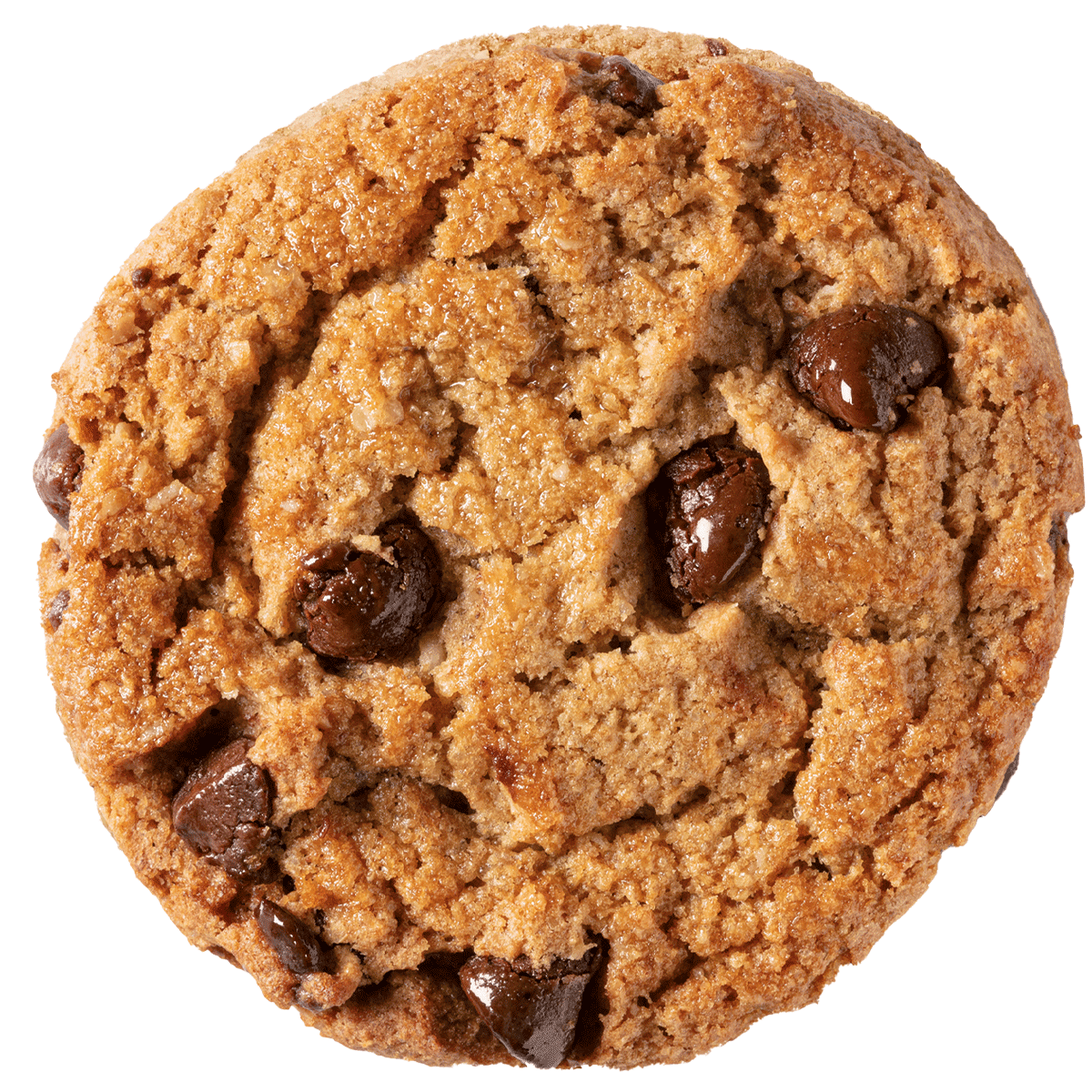 Chocolate chip cookie oat bran cookies banana with dark clipart vector