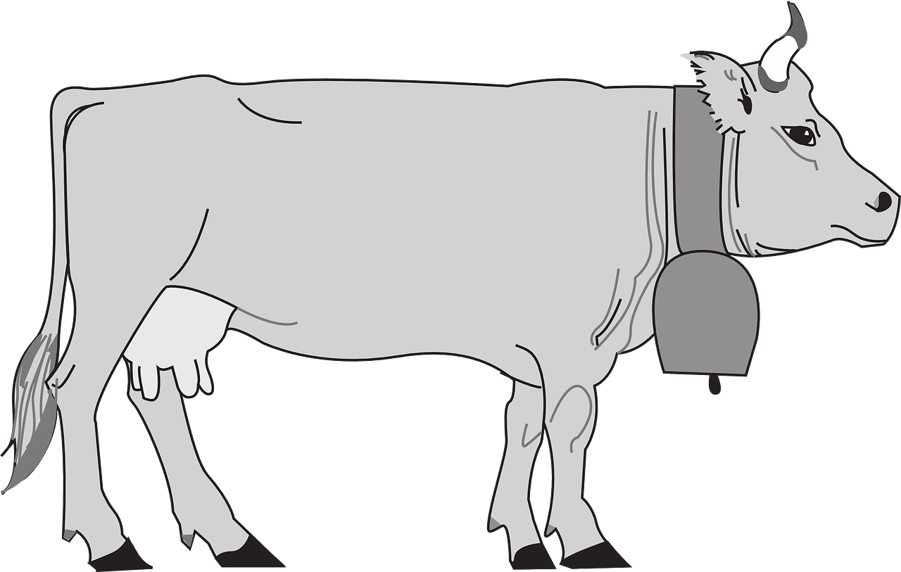 Cow black and white gray view vector graphic clipart