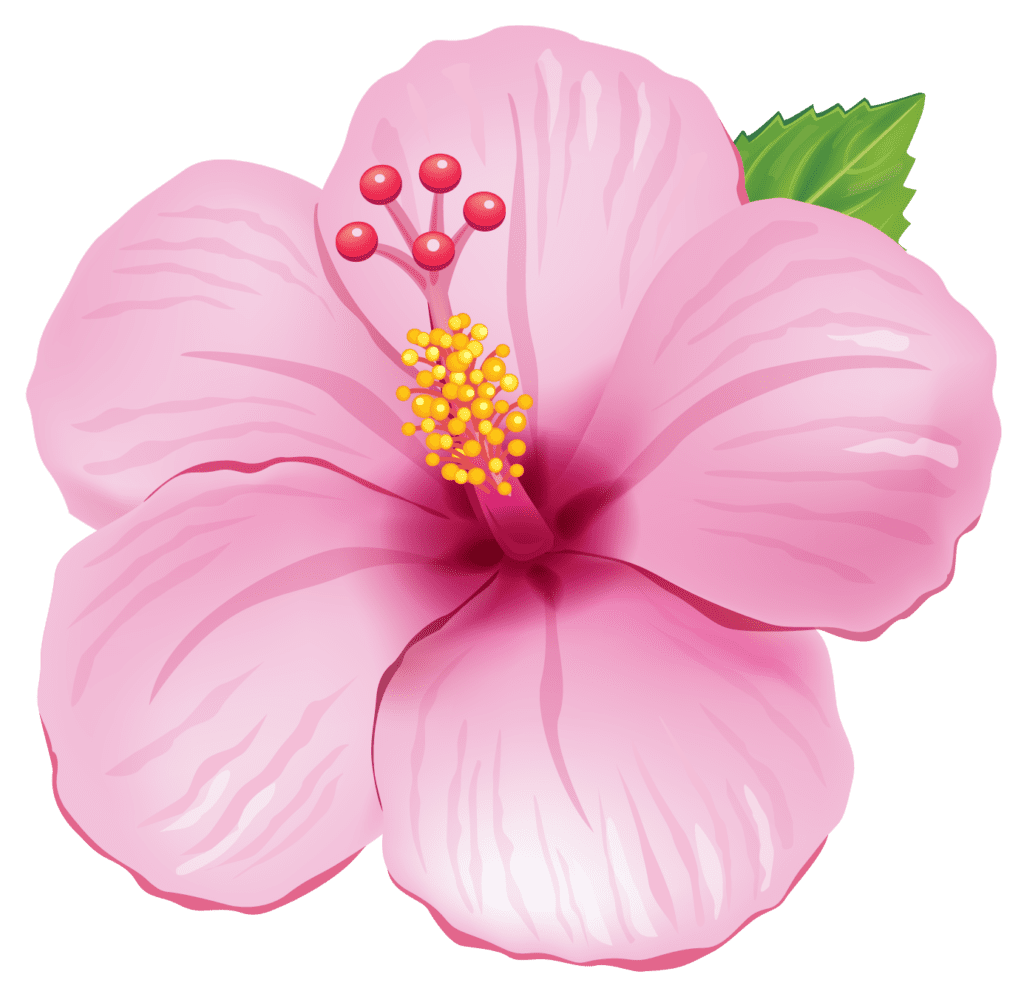 Hawaiian flower encanto para imprimir gratis clipart picture