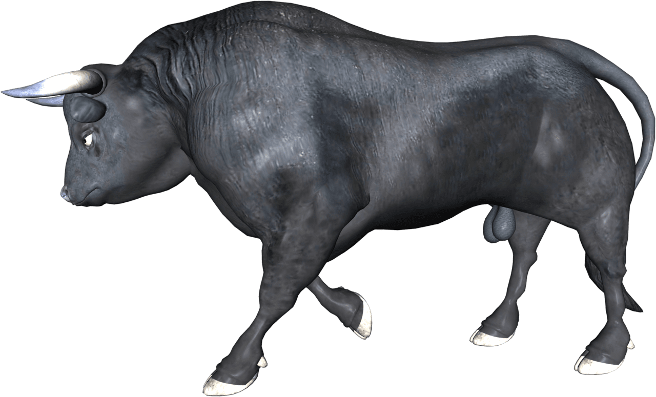 Vector buffalo image clipart