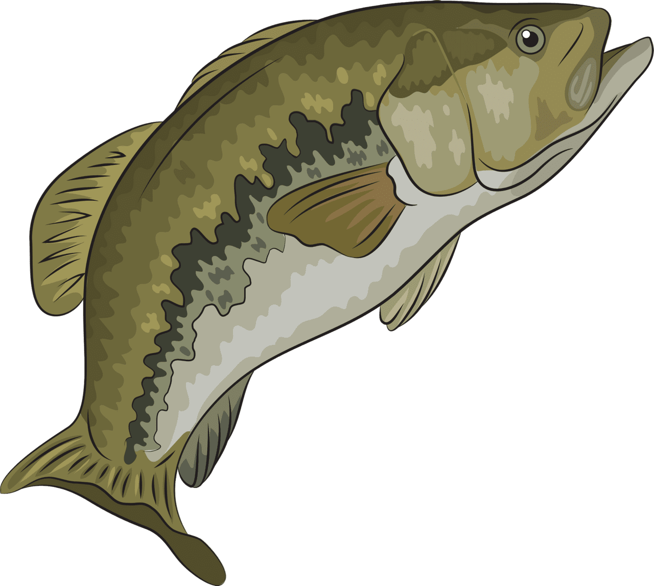 Largemouth bass vector clipart images 2