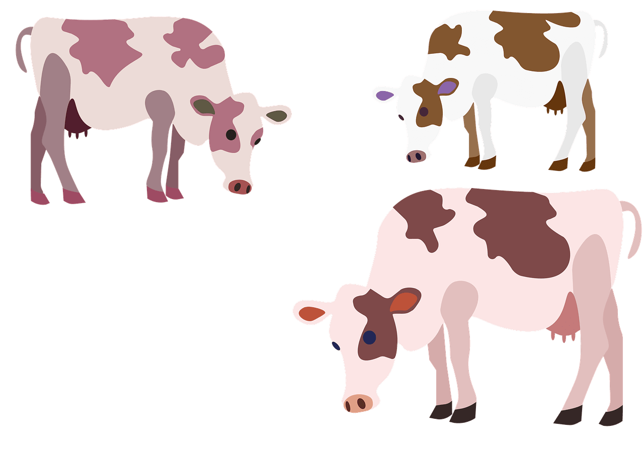 Cattle cow live farm image clipart