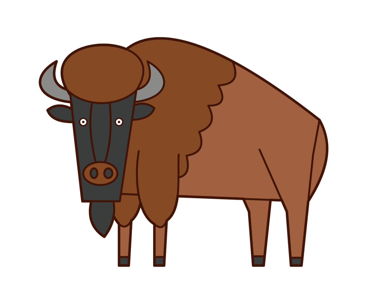 Bull american bison clipart image