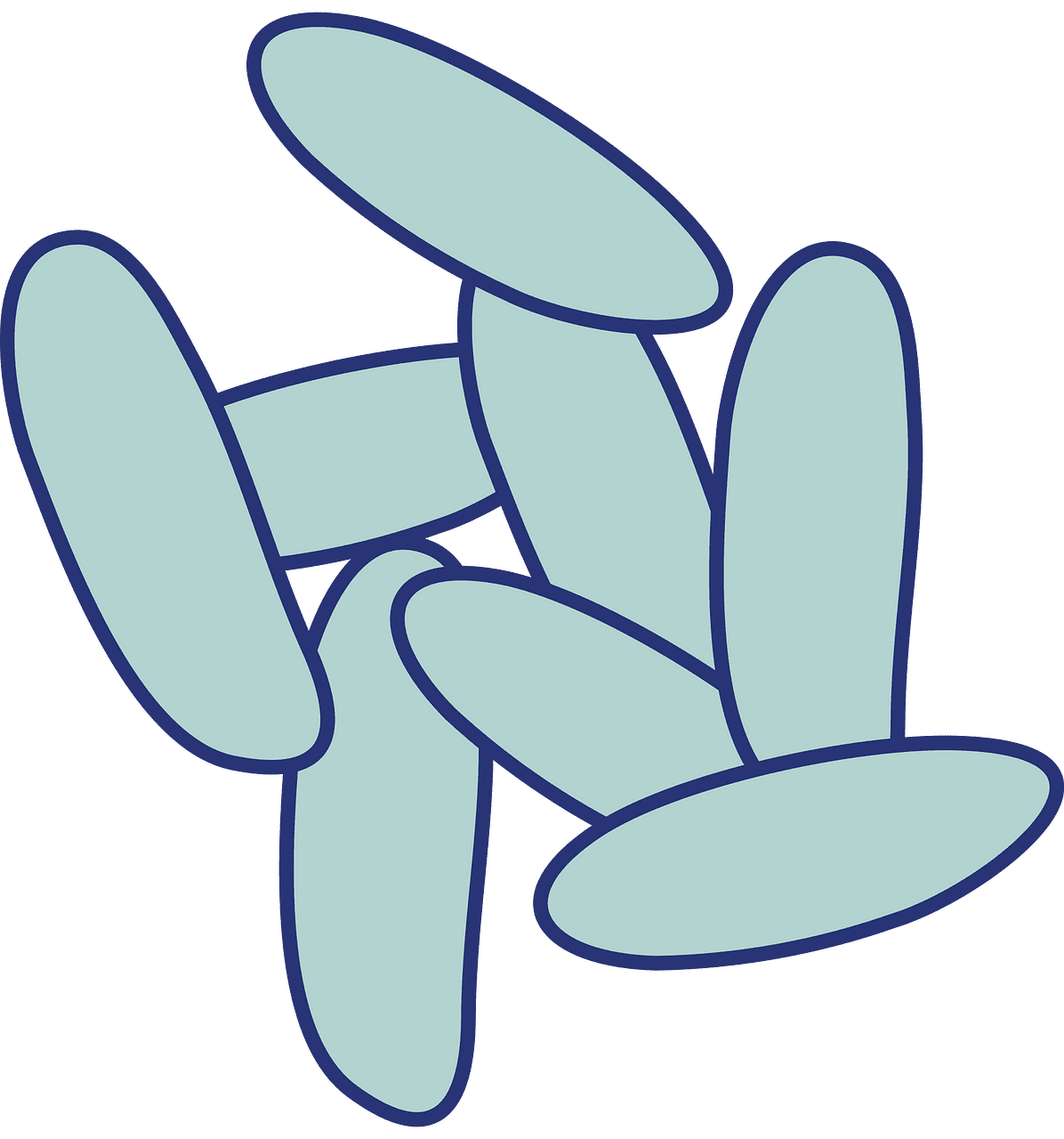 Bacteria vector clipart images 9