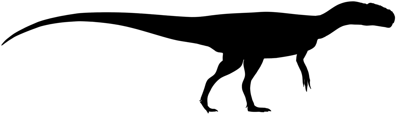 Dinosaur black and white chuandongocoelurus silhouette clipart transparent