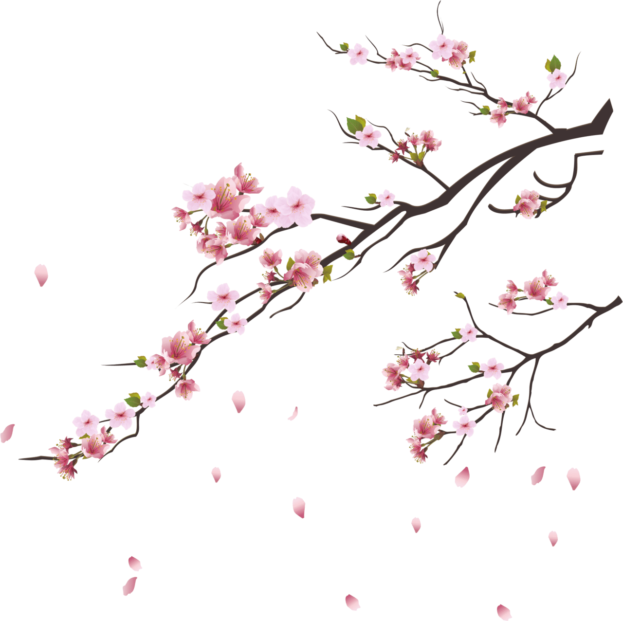 Cherry flower pin page clipart logo