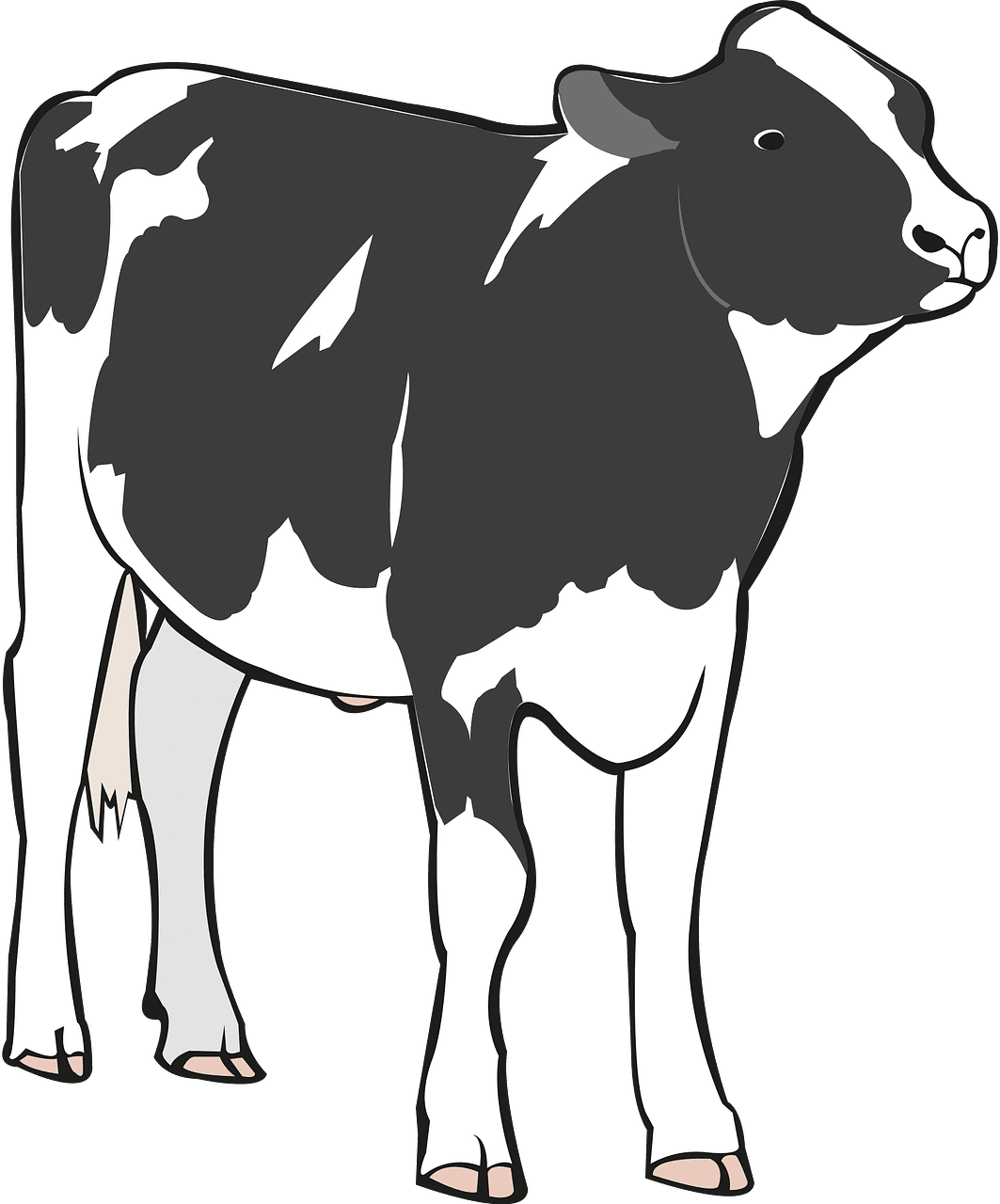 Cow black and white vector clipart images 8